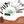 Load image into Gallery viewer, - Wealers