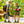 Load image into Gallery viewer, - Wealers